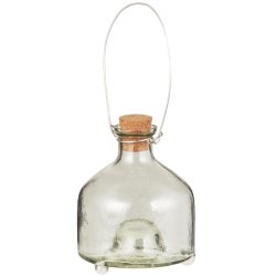 Ib Laursen Hvepsefanger