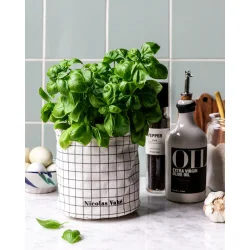 Nicolas Vah� Opbevaringskurv, Basket, Gr�