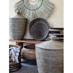 Chic Antique Kurve af vandhyacint st af 3 stk.