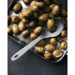 Nicolas Vah Ske, Daily, Slv finish