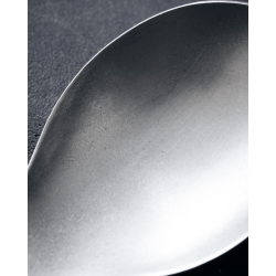 Nicolas Vah Ske, Daily, Slv finish