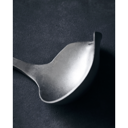 Nicolas Vah Sauceske, Daily, Slv finish