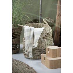 Ib Laursen skest a 2 m/bambuslg, Natur