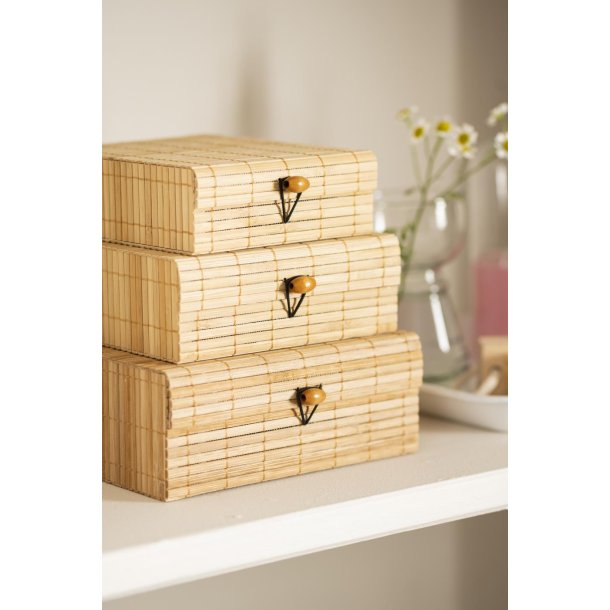 Ib Laursen skest a 3 bambus, natur