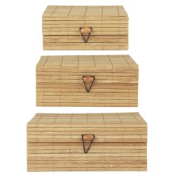 Ib Laursen skest a 3 bambus, natur