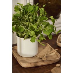 Ib Laursen Sk�l firkantet 20x20 cm - akacietr�