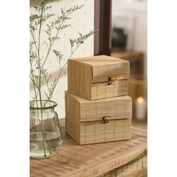 Ib Laursen skest a 2 kvadratisk bambus