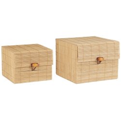 Ib Laursen skest a 2 kvadratisk bambus