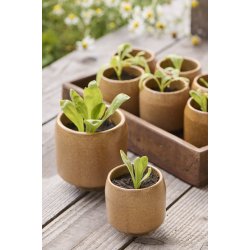 Ib Laursen Skjuler m/fod Saga brun