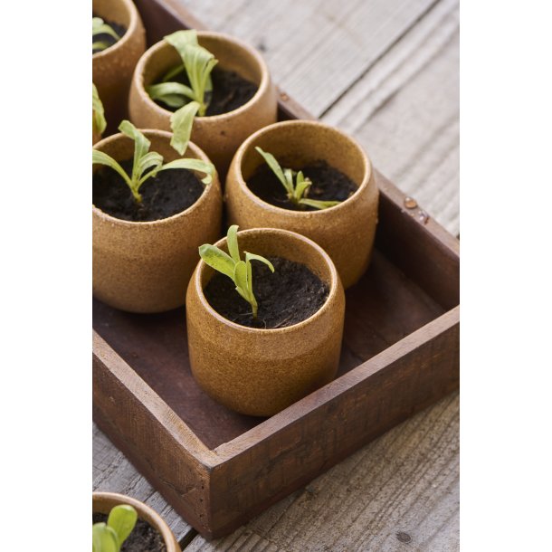 Ib Laursen Trkasse UNIKA, natur