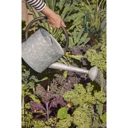 Ib Laursen Vandkande m/spreder oval gr� m/sort hank 5 ltr