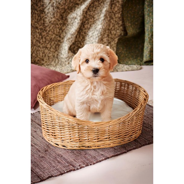 Ib Laursen Hundekurv m/pude pileflet (40x55x21 cm)