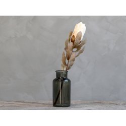 Chic Antique Fleur Protea Blomst, H53 cm creme