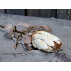 Chic Antique Fleur Protea Blomst, H53 cm creme