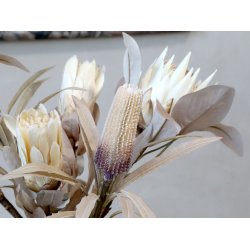Chic Antique Fleur Protea Blomst, H53 cm creme