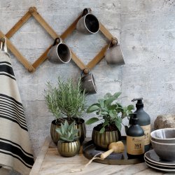 Chic Antique Knagerkke m. 10 knager, natur