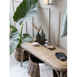 Pimpsten ternel, hvid