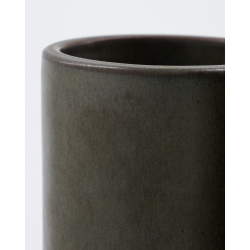 Meraki Tandkrus, Datura, Mrkegr