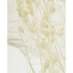 Meraki Diffuser, Vivid shades, 240 ml